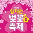 명품 벚꽃 길 이미지