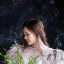 야무진태권도 이미지