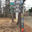 꽃바위 외국인 특화거리 이미지