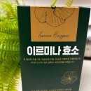 주희네마겟