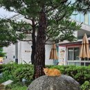 동방경로당 | 일상 포토덤프(4)