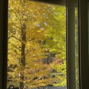 동신코아약국 | 일상(11.4.~11.9.)