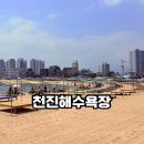 천진 | 고성 천진해변 후기 주차와 샤워장부터 바다 분위기까지