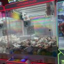 민트플레이 이미지