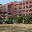 감정초교 이미지