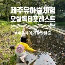 제주 아이와 가볼만한곳 오설록 티포레스트 유아 숲체험 한달살이 이색체험