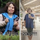 미르핏