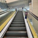 대왕별 아이누리 이미지