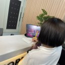 신기한 마술 세상 이미지