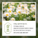 신용수목장 | 강동성심병원 장례식장에서 불광사 양지수목장 안장