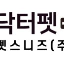 레이 펫 이미지