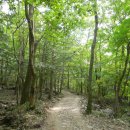 수다라성보박물관(영광불갑사) 이미지