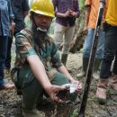 배상선농장 이미지