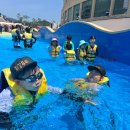 최강두리 태권도장 이미지