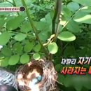금치농장 이미지