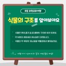 전북특별자치도 산림박물관 | 과학교과여행 전북 가볼만한곳 전북특별자치도 산림박물관