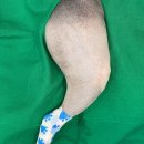 청라종합동물병원 이미지