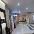 (주)메가메디칼 | 위즈동물메디컬센터｜메가주 하루의 끝, 핑핑이 눈 때문에 달려간 병원 후기 🐶🐾