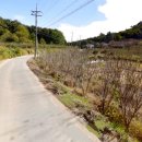 신룡동 보건진료소 이미지