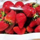 광혜원농장 이미지