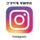 건강하게동물병원 | 미국 플로리다 연수 후기 - 여정 브이로그, 위례 건강하게 동물병원