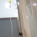 원종365의원 이미지