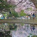 (주)제주신화항공여행사 이미지