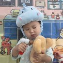 새솔동물병원 이미지