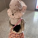 나는야 환경지킴이 | 환경지킴이 율!! 주1회 쓰레기 줍기!!