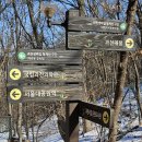 2월 9일 서울의 명산 청계산을 산행함 이미지