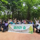 인천뇌병변장애인인권협회 | 인천뇌병변장애인인권협회, ‘굴러라 숲’ 산림치유 프로그램