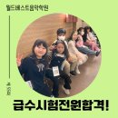 전원음악학원 - 목포시 백년대로297번길 29 | 전원음악학원