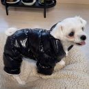 [공지] 화장이 잘 먹는 40대 여자 피부로 개선하는 방법