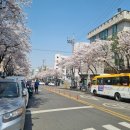 도당동 제1호 주차장 네이버블로그