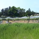 전원락농장 이미지