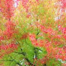 어느가을 오후 이미지