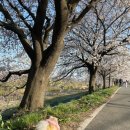 조천 산책로화장실 이미지