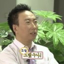 그린라이트 나 홀로 집에 1986 닷지 램 밴 43 스케일 다이캐스트 미니카 자동차 모형