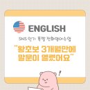 Anna s English(영어공부) | 직장인 전화영어 이게 되네? 왕초보 3개월만에 말문 트인 SNS 인기 회화 수업 진짜 후기
