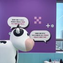 평택농업협동조합 | 평택 키즈카페 플레이월드 후기, 7세도 19개월도 만족