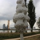 신치현 상록수 이미지