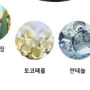 바이체론
