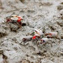 순천만그리고나 이미지