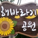 하남중 앞 이미지