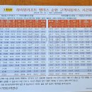 하이원 팰리스호텔 | 겨울 하이원 리조트 팰리스호텔 투숙 후기 및 꿀팁(곤돌라, 셔틀시간표)