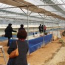 김재성농장 이미지