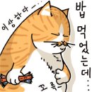 모아호프 이미지