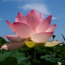 바우길 16구간 이미지