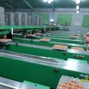 이레 양계장 이미지