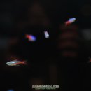 소립에너지 이미지